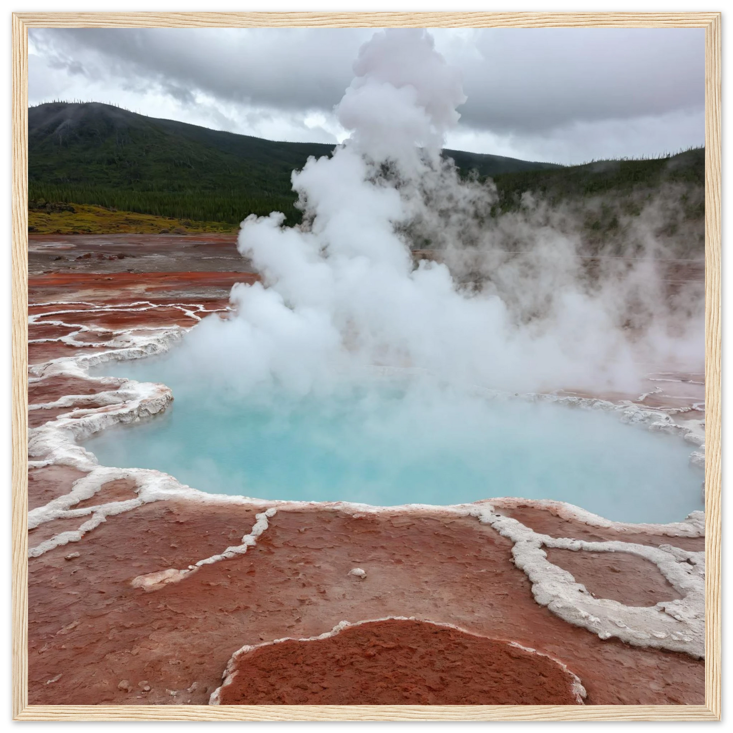 0ae4810b-78ca-437e-af2e-31ae72cb4e7b