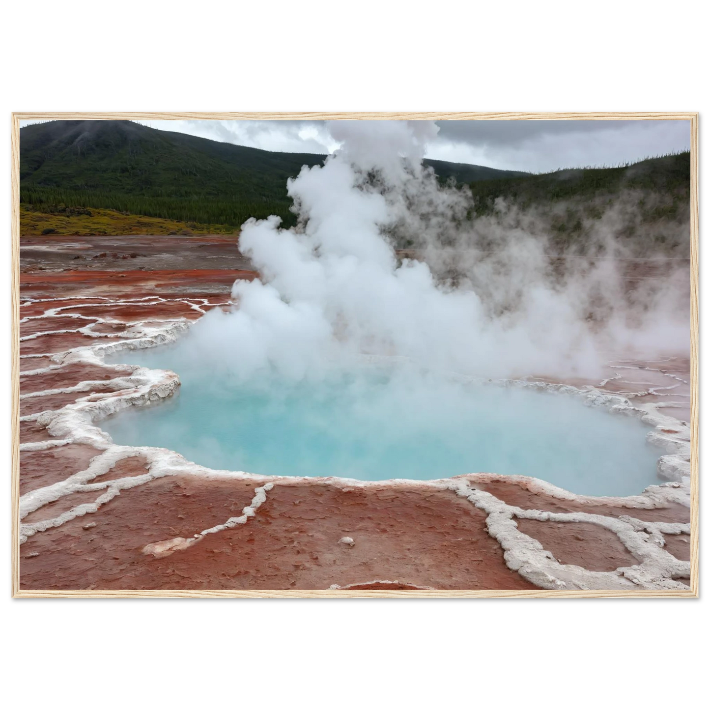 10c34214-1f69-4d6f-9269-5b855c73275f