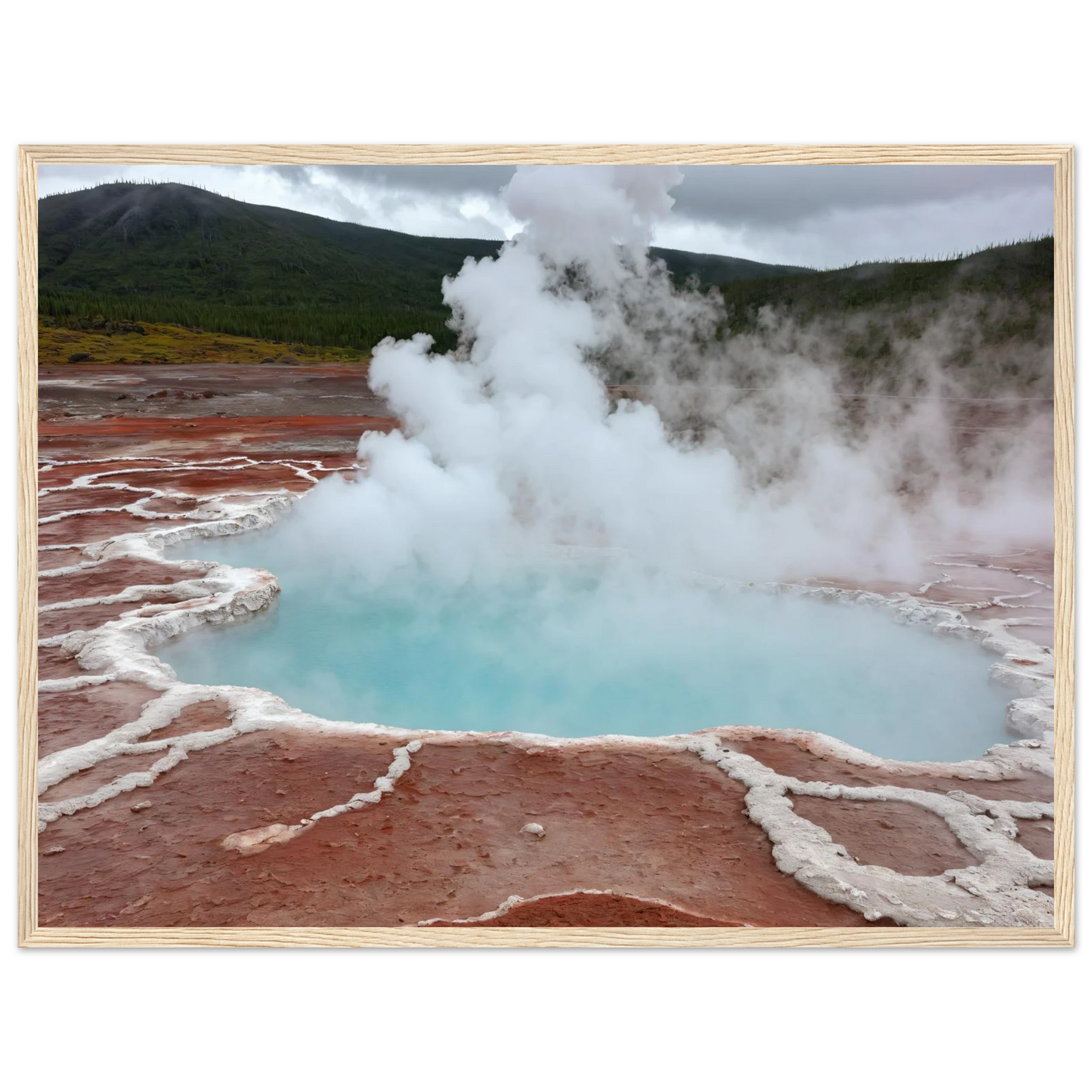 1b475a45-3401-44a5-9e80-83ef7e4f471d