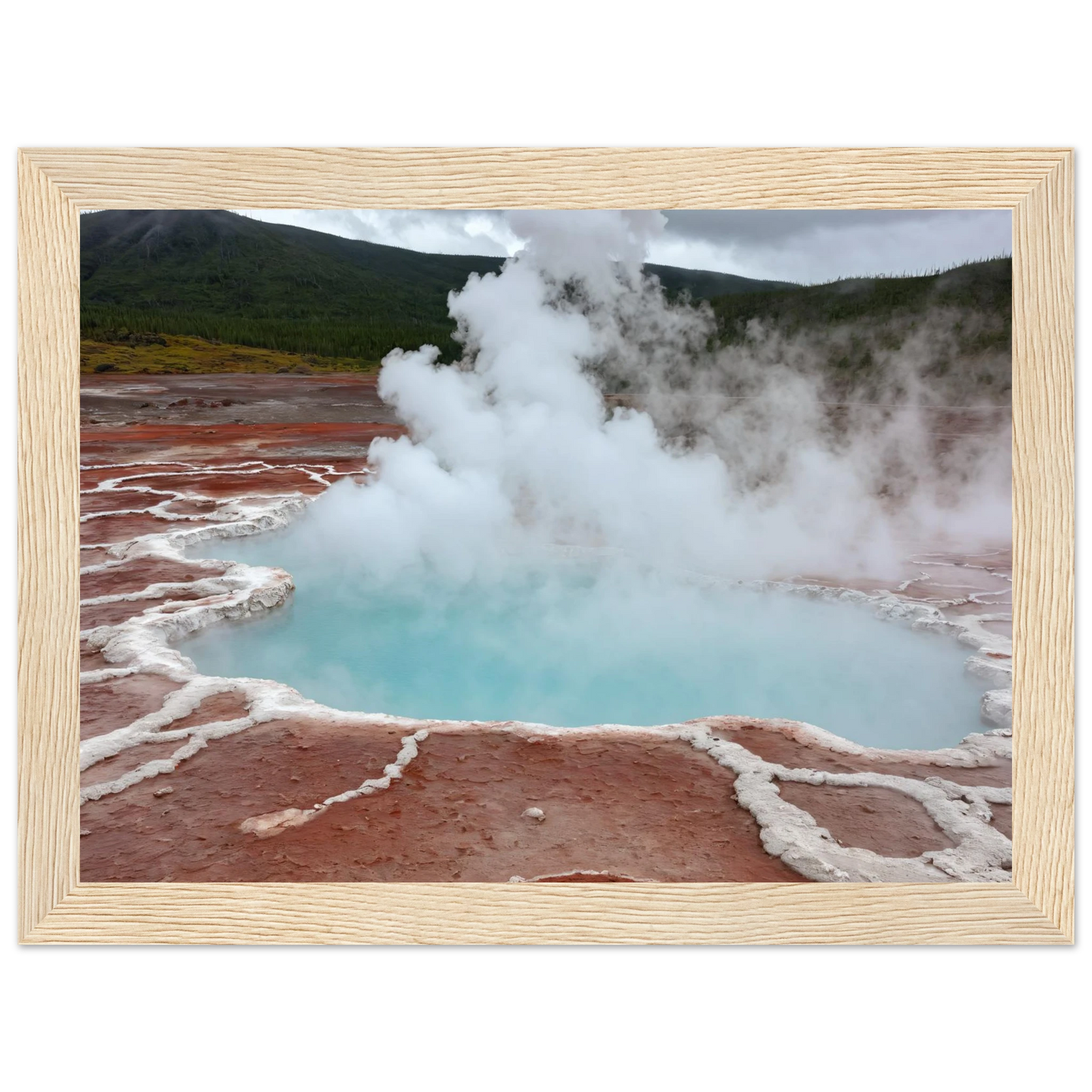 1f19e02a-e659-4231-9f50-6eace37beb46