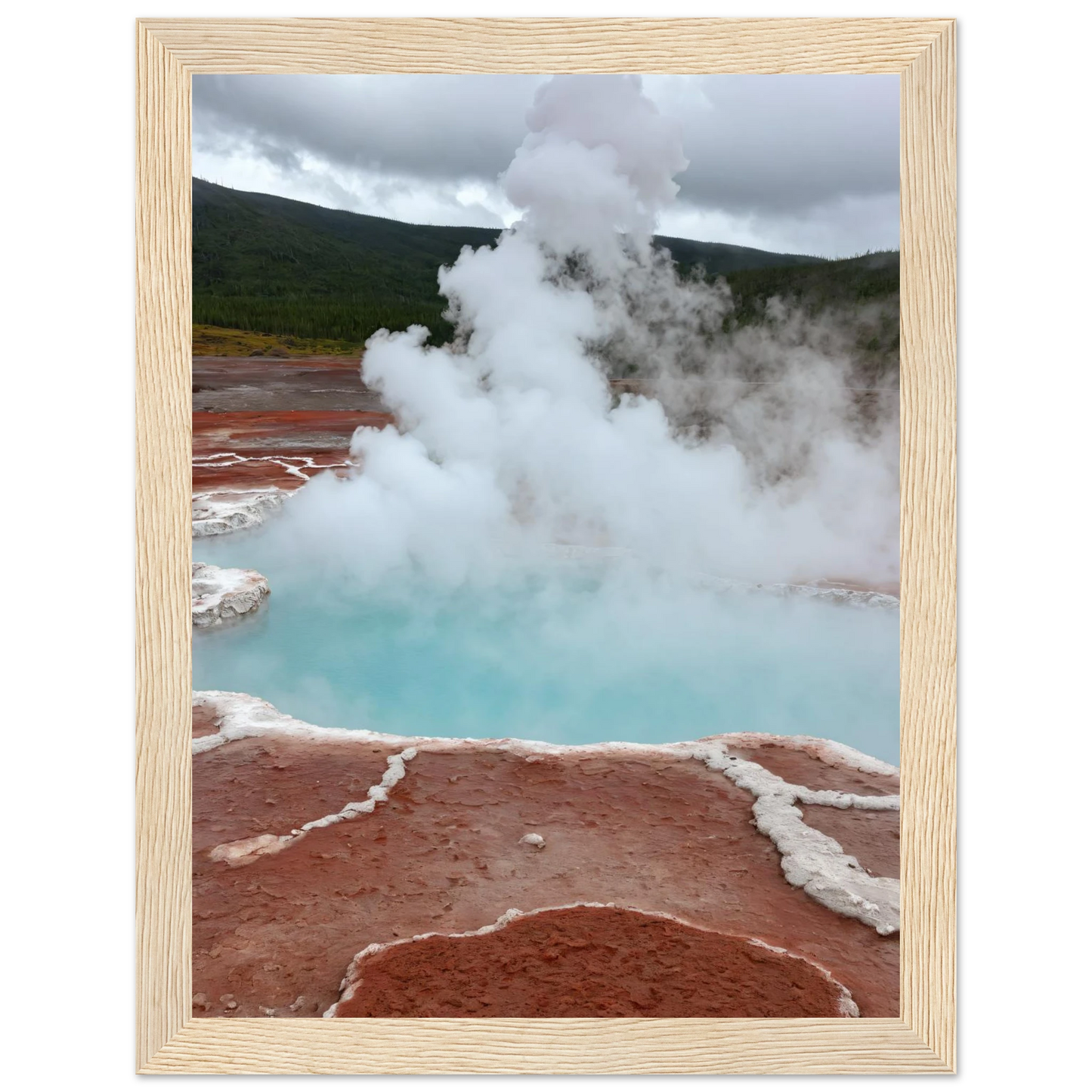 31bae380-f5f2-45c0-b96a-0e3e42fbbabe