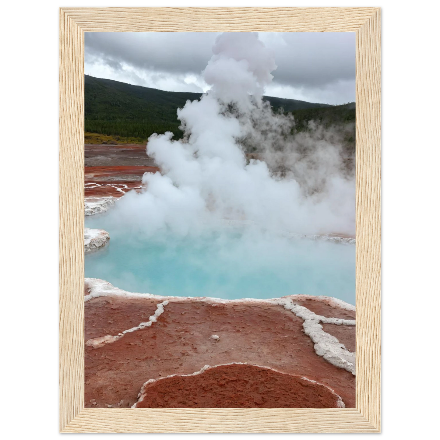 3f32639d-46a3-4667-a934-68f2ed94f8d6