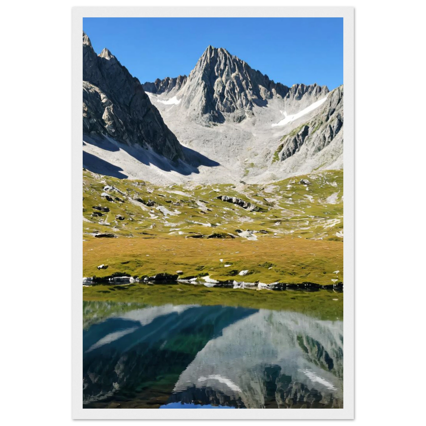 4519d581-9aa2-476c-a148-854707294e01