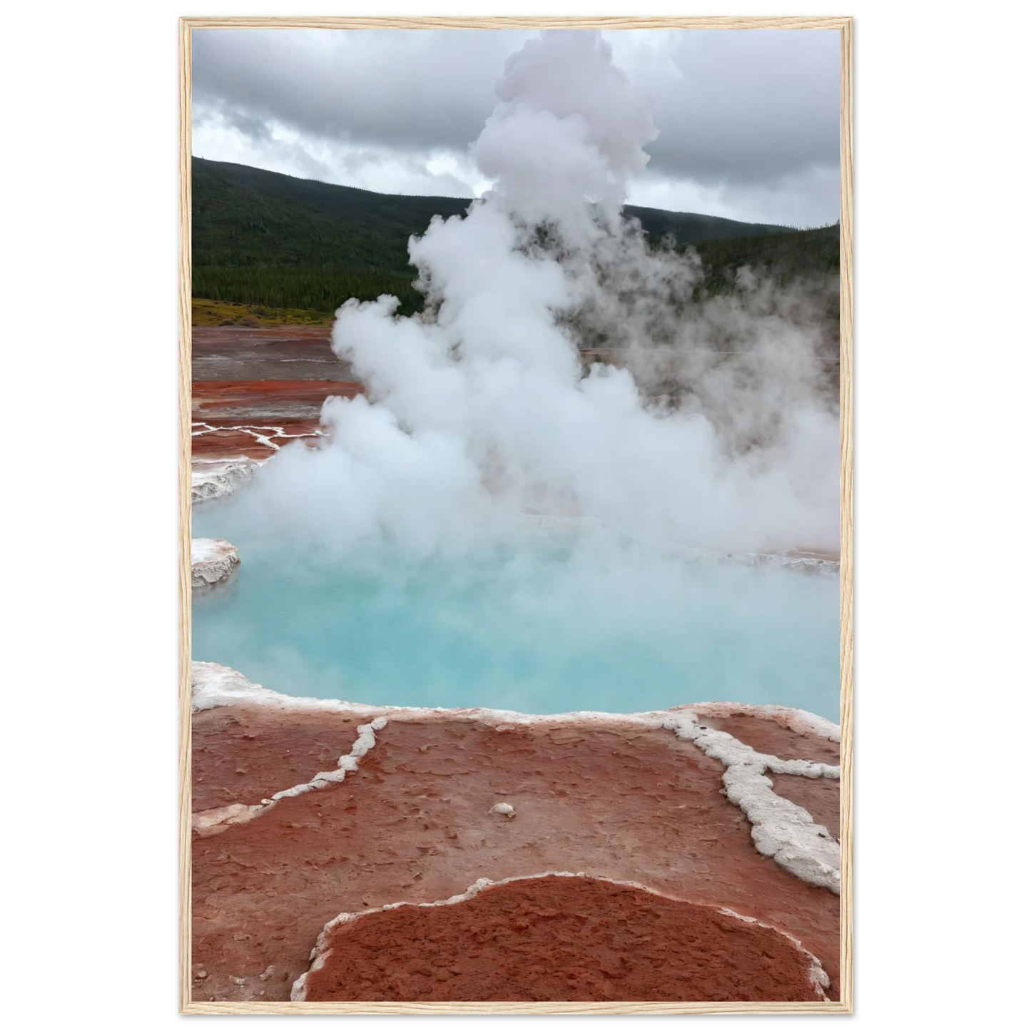 4586132f-69cb-4ec5-9429-ae3dc9abaacd