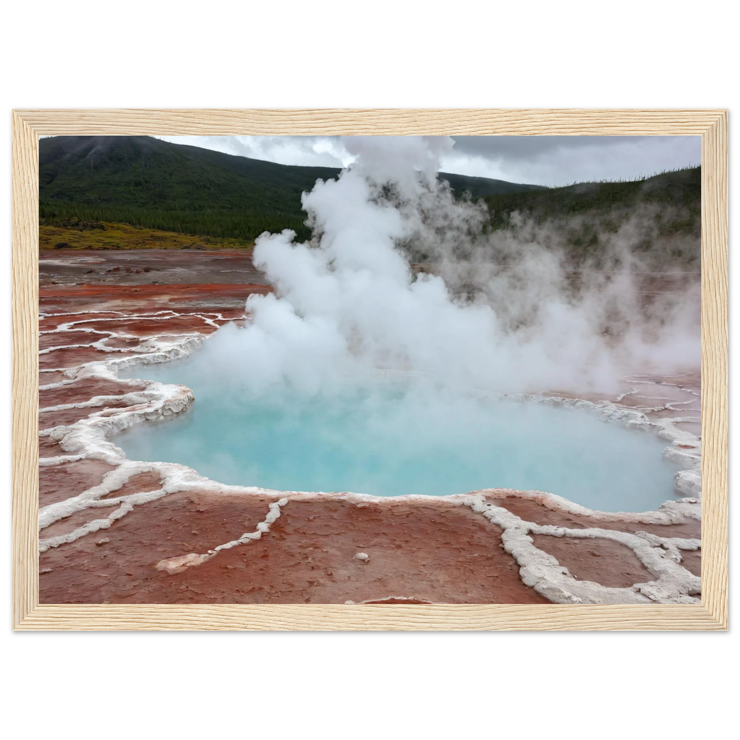 817e1706-7d8e-448b-90cb-7a53d1d5e663