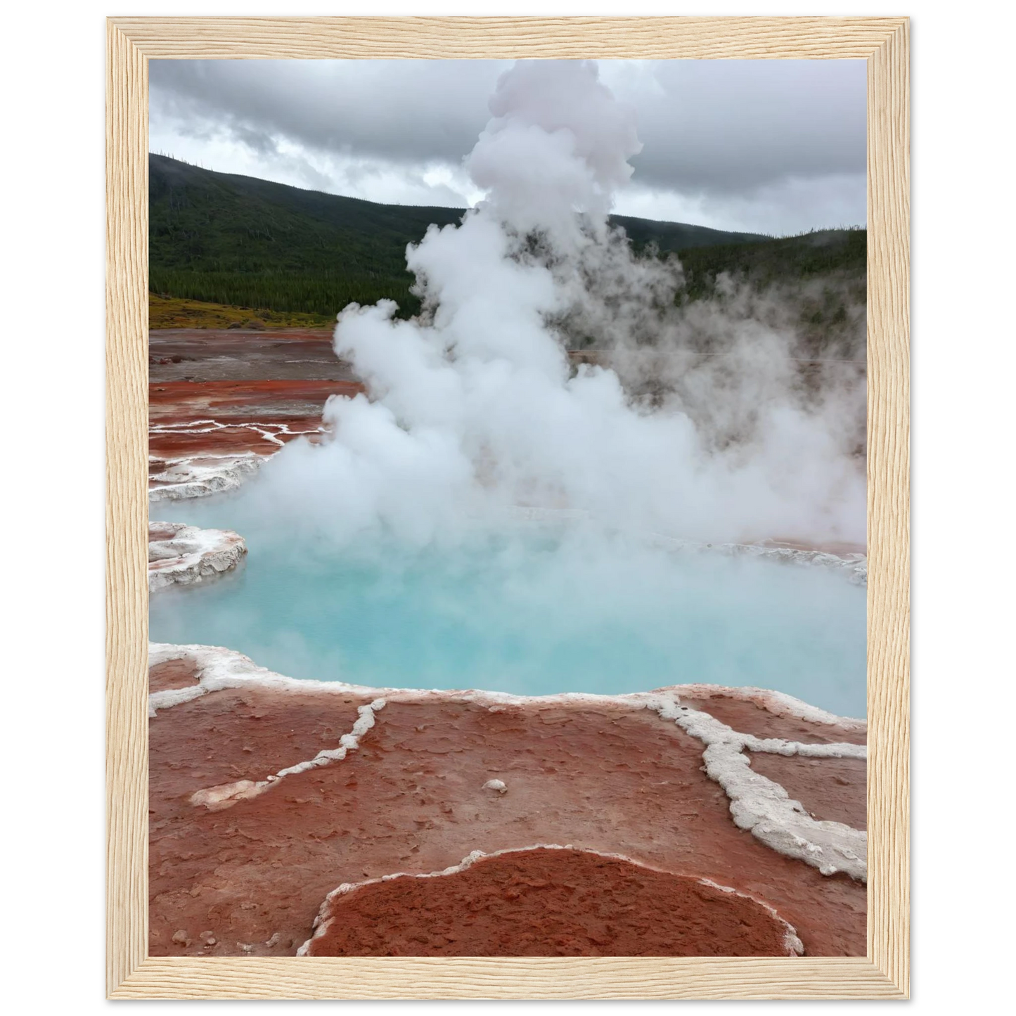 9192af61-55dc-4b28-aa9f-91c78578a77c