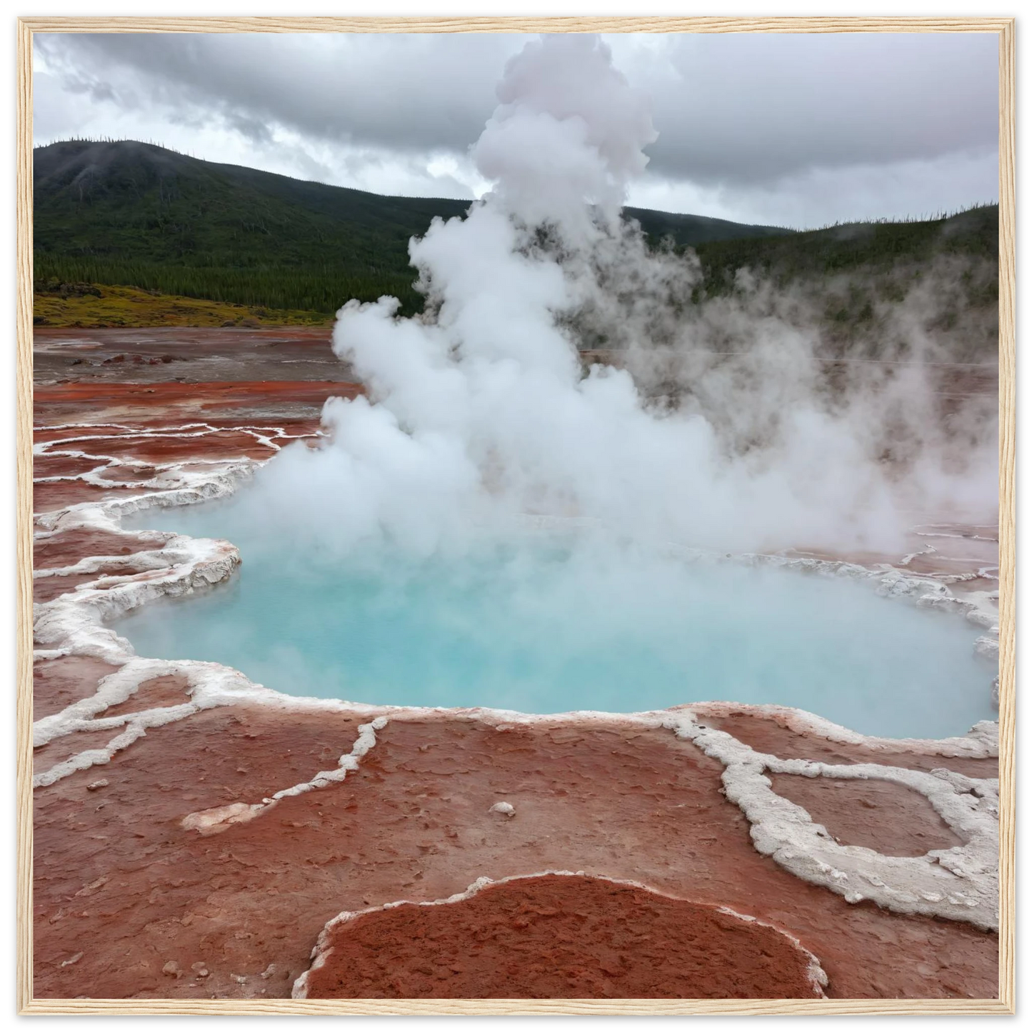 a5089ec0-fd00-4b97-a134-ae5eb2ed8ac2