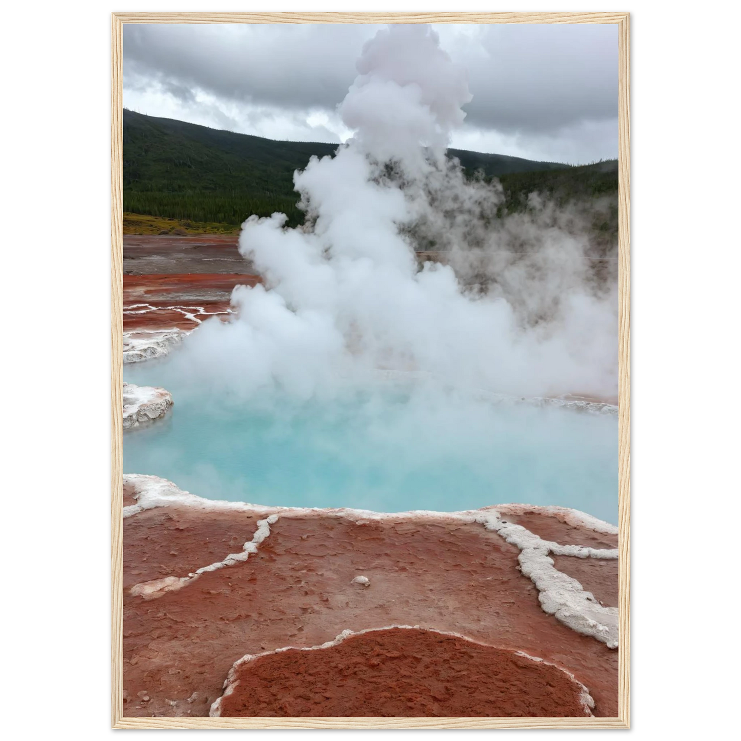 a55aef68-eaec-44de-847b-d5a0c9682164