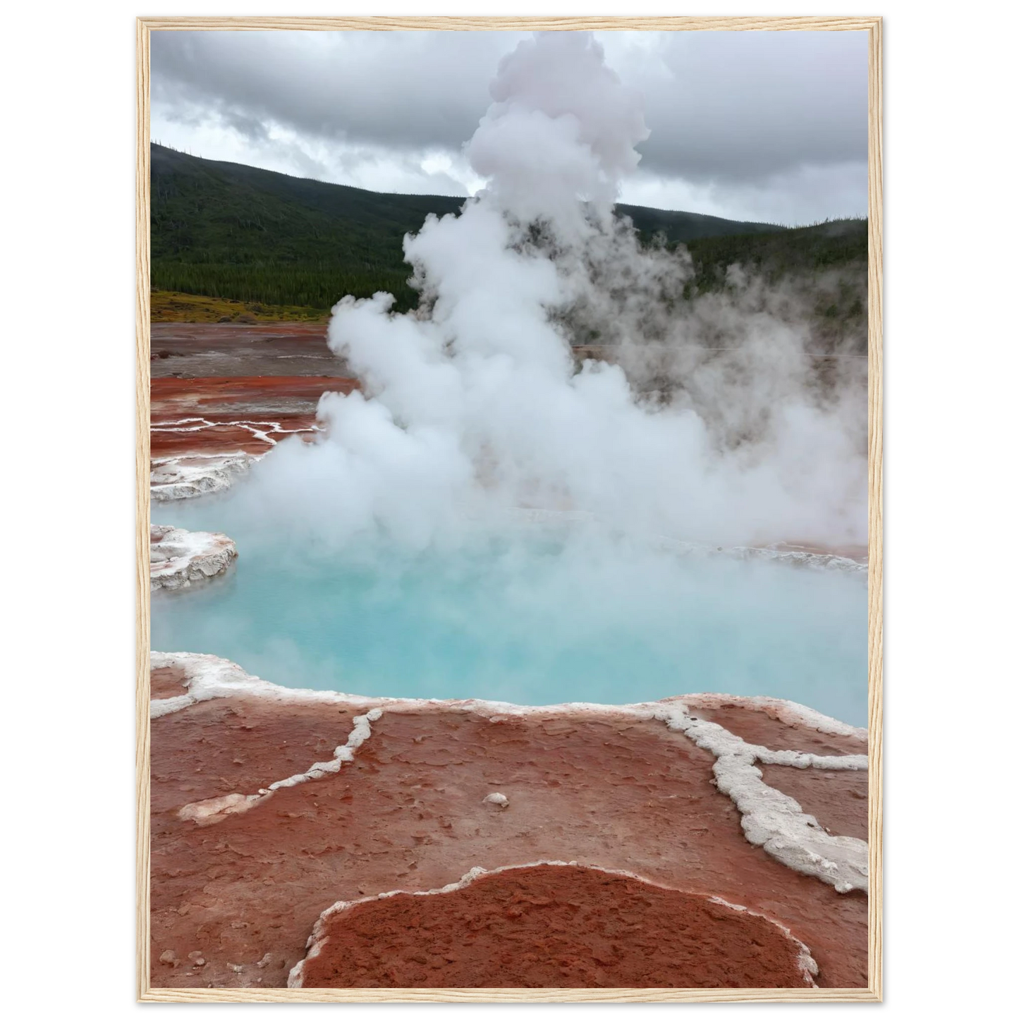 a6b2461f-1ef4-4c36-bcf3-31c9898f6f1d