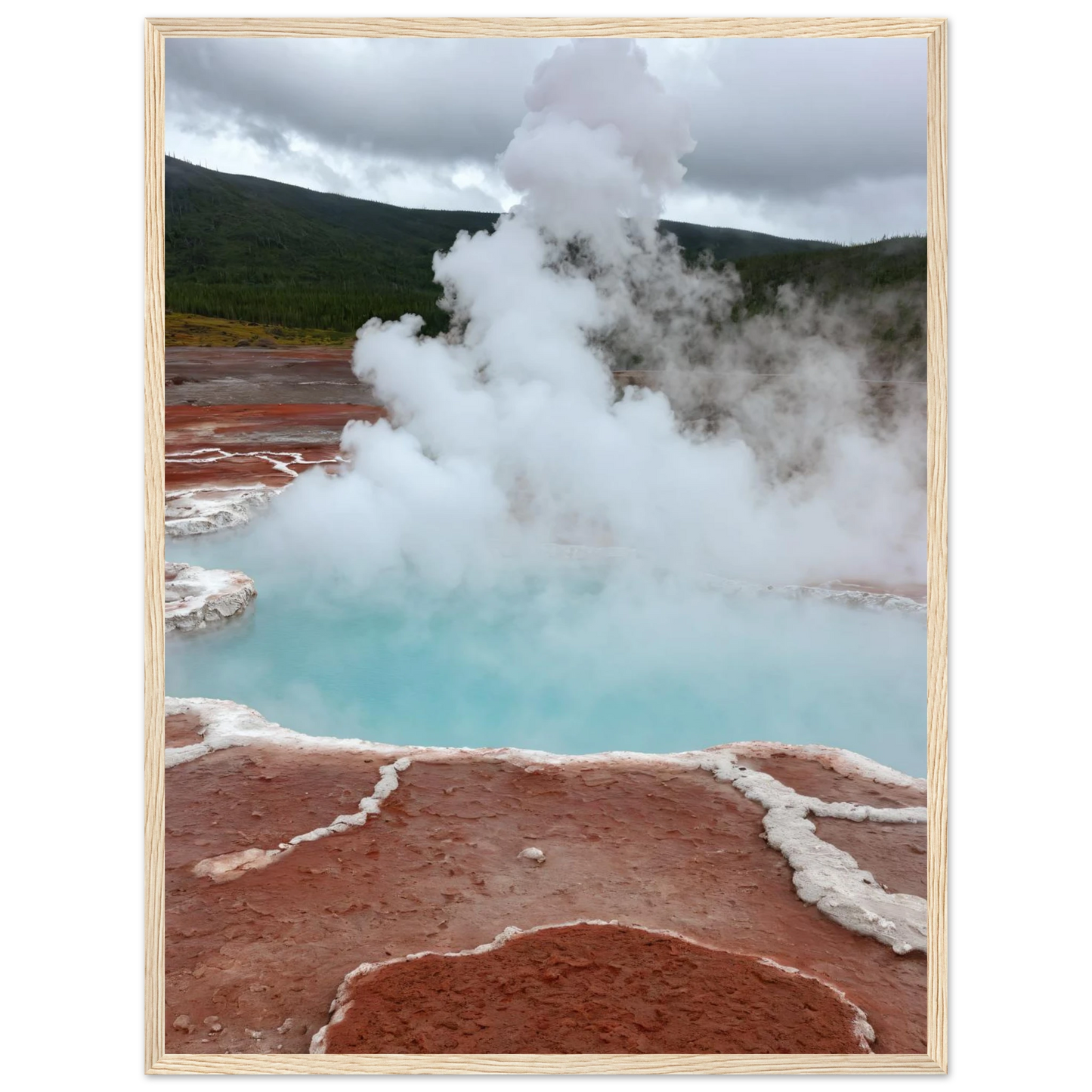 a77e4313-03e7-49c6-b74c-4efc5fbf244a