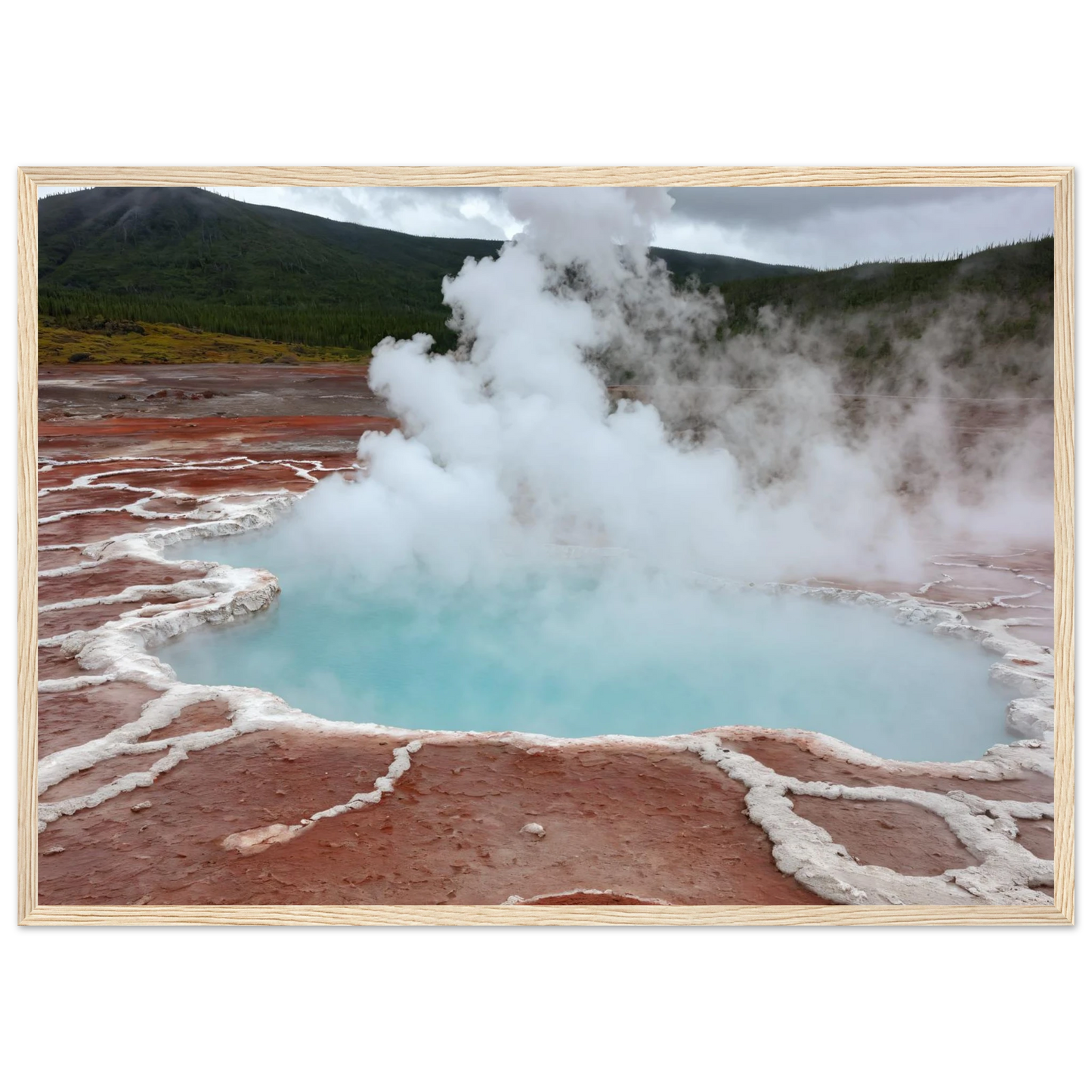 ac49165a-680e-4c16-8394-29c8495e08ed