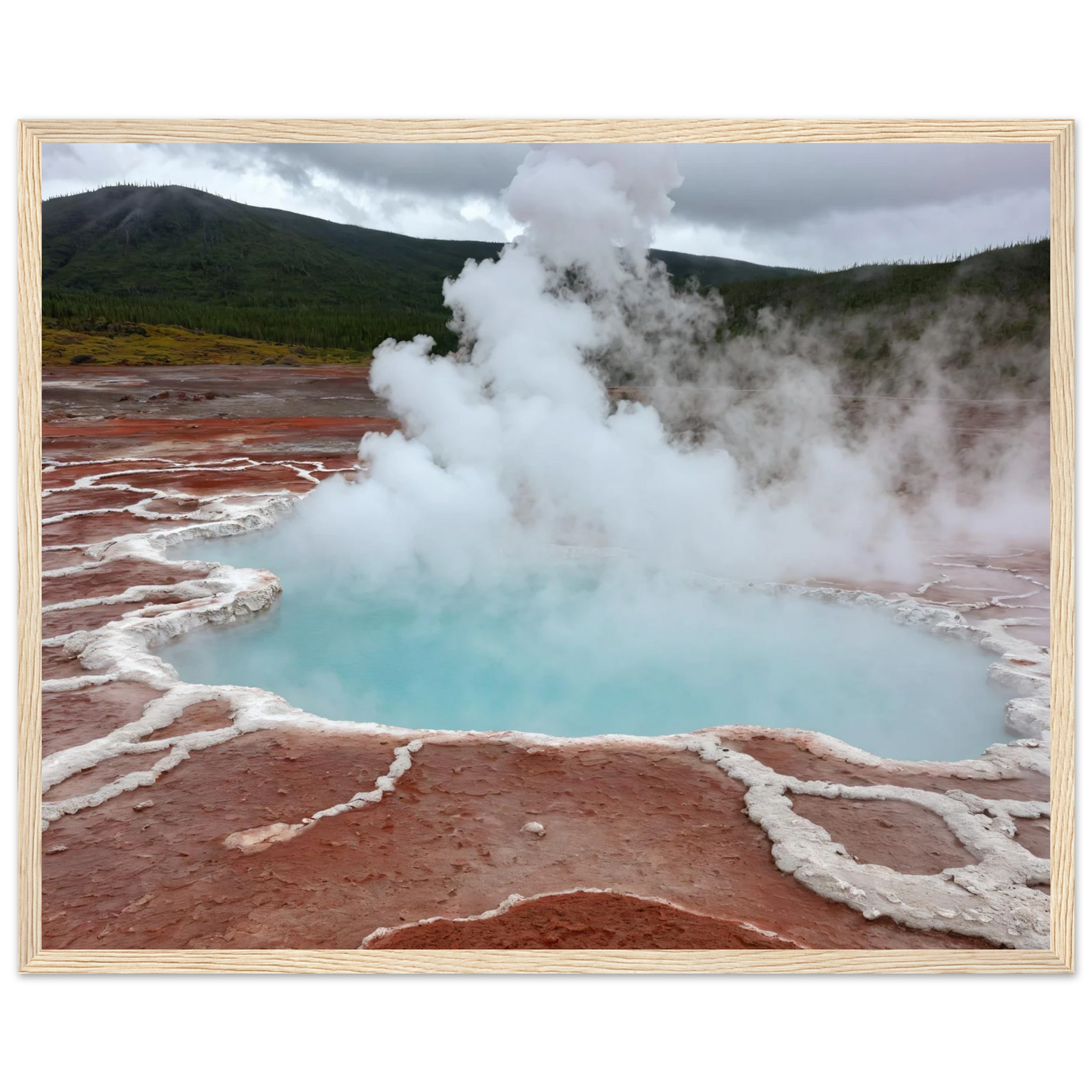 bb9cdf9b-4d15-4ae0-8481-e651b2600f0d