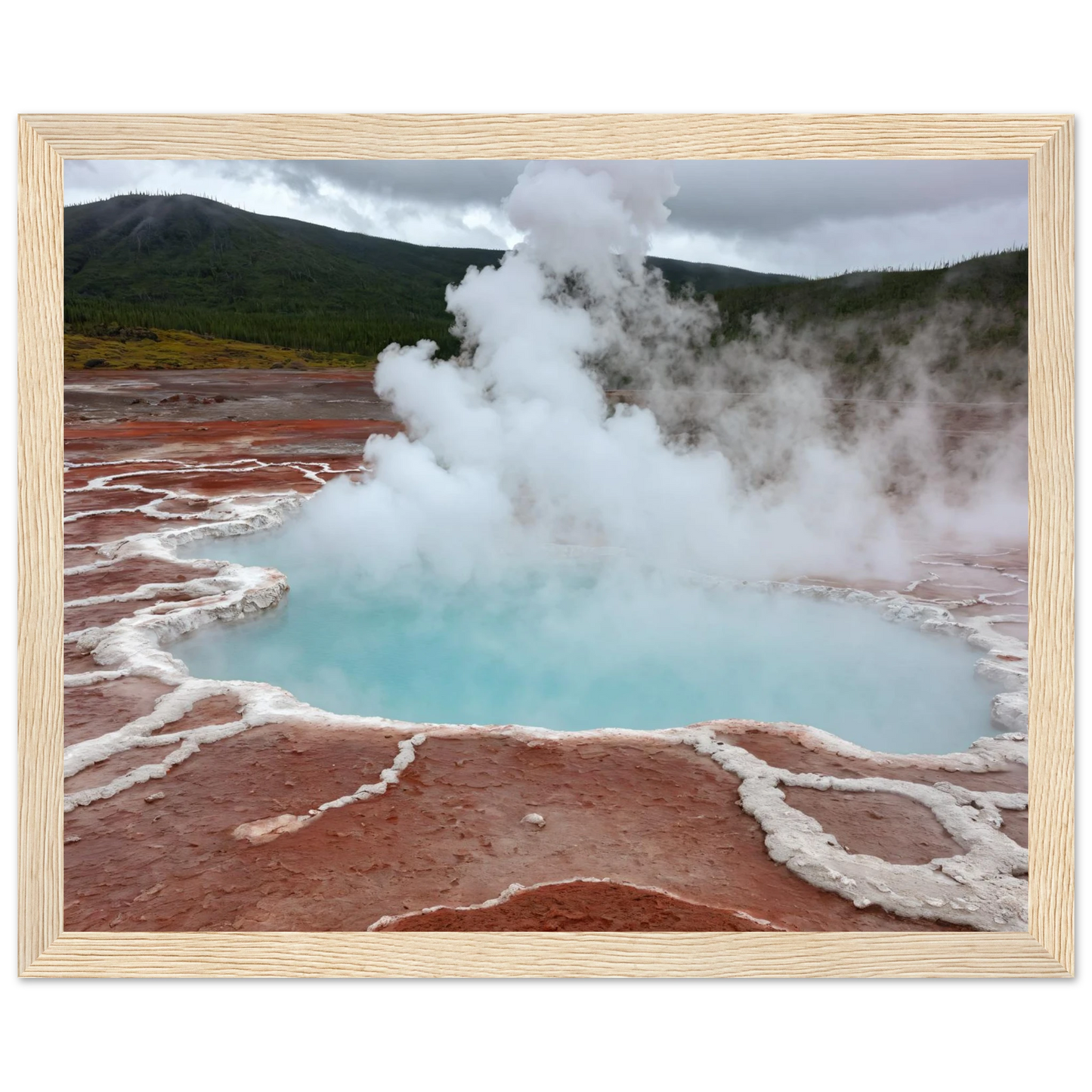 c2f30599-af04-4ff8-b1e5-d90d5d20eded