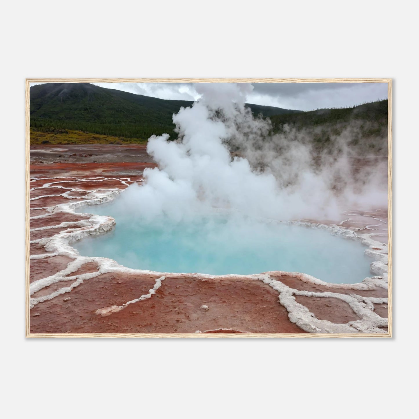 e8cc8fd8-ba2c-4e6b-8ef0-a4acc3d6cf74